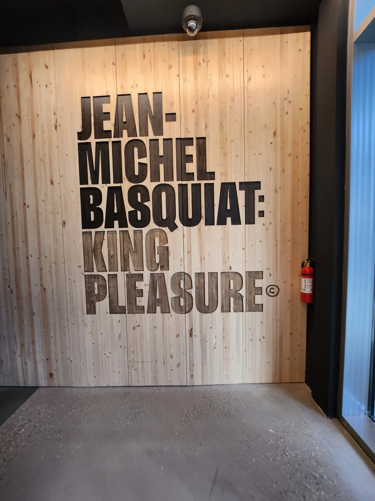 Basquiat Gallery Image 6
